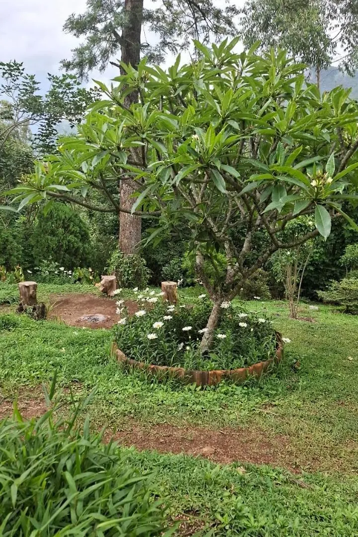 Escape Natural Farm Stay - Loghouse Kanthalloor